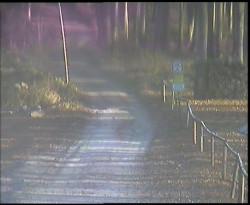 Nástup na běžecké tratě