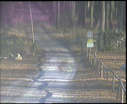 Nástup na běžecké tratě