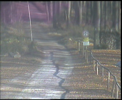 Nástup na běžecké tratě