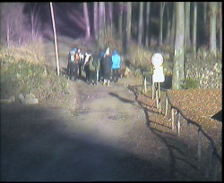 Nástup na běžecké tratě