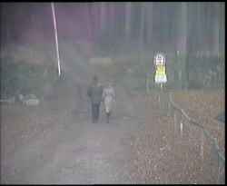 Nástup na běžecké tratě