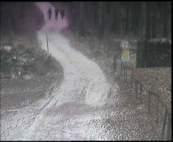 Nástup na běžecké tratě