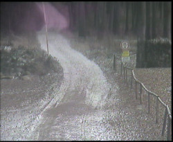 Nástup na běžecké tratě