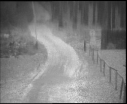 Nástup na běžecké tratě