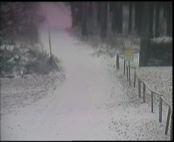 Nástup na běžecké tratě