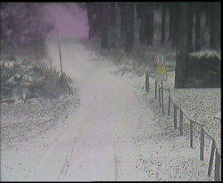 Nástup na běžecké tratě