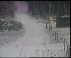 Nástup na běžecké tratě