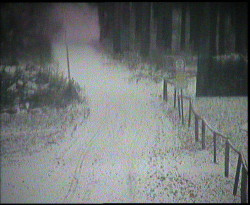 Nástup na běžecké tratě