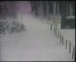 Nástup na běžecké tratě