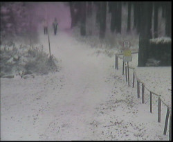 Nástup na běžecké tratě