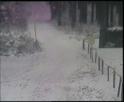 Nástup na běžecké tratě