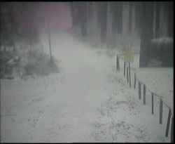 Nástup na běžecké tratě