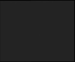 Nástup na běžecké tratě