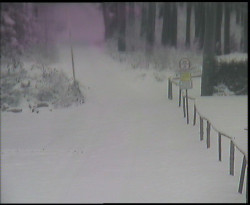 Nástup na běžecké tratě