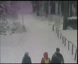 Nástup na běžecké tratě