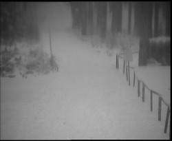 Nástup na běžecké tratě