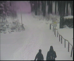 Nástup na běžecké tratě