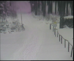 Nástup na běžecké tratě