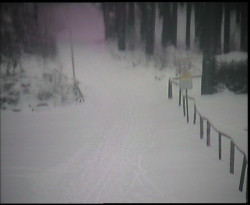 Nástup na běžecké tratě