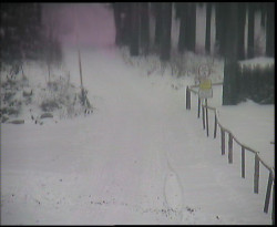 Nástup na běžecké tratě