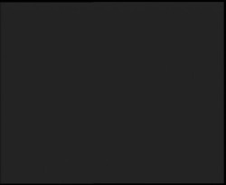 Nástup na běžecké tratě