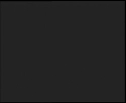 Nástup na běžecké tratě