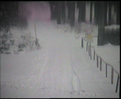 Nástup na běžecké tratě