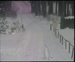 Nástup na běžecké tratě