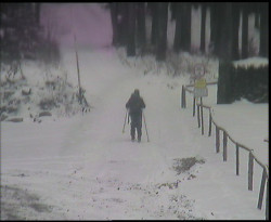 Nástup na běžecké tratě