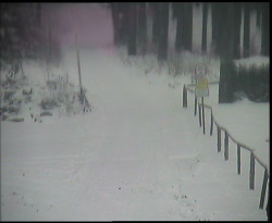 Nástup na běžecké tratě