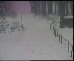 Nástup na běžecké tratě