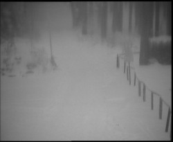 Nástup na běžecké tratě