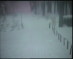 Nástup na běžecké tratě