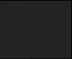 Nástup na běžecké tratě