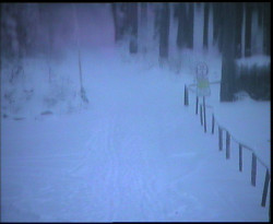 Nástup na běžecké tratě