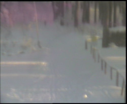 Nástup na běžecké tratě