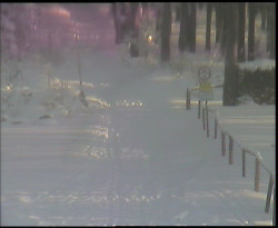 Nástup na běžecké tratě