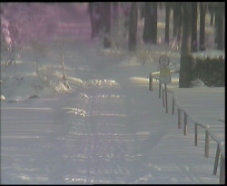 Nástup na běžecké tratě