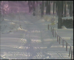 Nástup na běžecké tratě