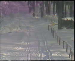 Nástup na běžecké tratě