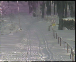 Nástup na běžecké tratě