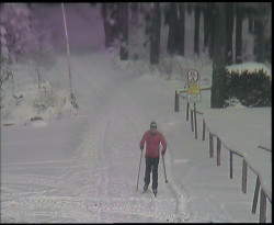 Nástup na běžecké tratě