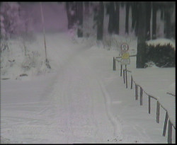 Nástup na běžecké tratě