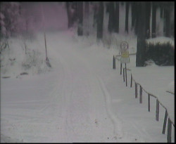 Nástup na běžecké tratě