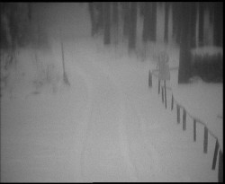 Nástup na běžecké tratě