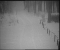 Nástup na běžecké tratě