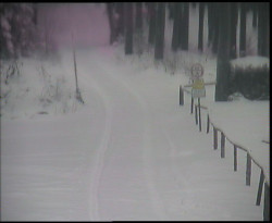 Nástup na běžecké tratě