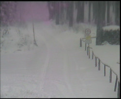 Nástup na běžecké tratě