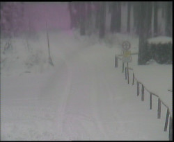 Nástup na běžecké tratě