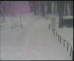 Nástup na běžecké tratě